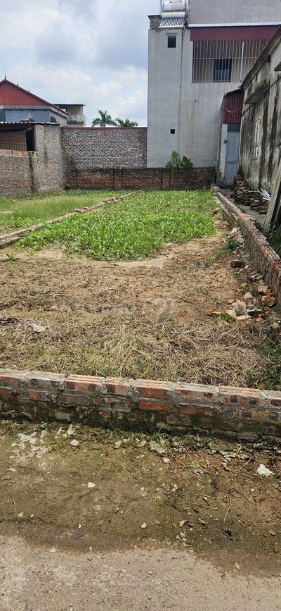 🎉🎉 Lô 61 m2 Hiền Lương,Hiền Ninh – Nhỏ Tiền,Ô Tô Tải đỗ cửa – Sát trục