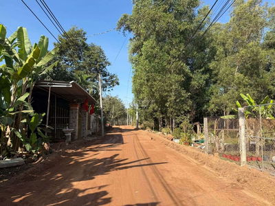 Bán Mãnh Vườn xã Bàu Bàng TP.HCM