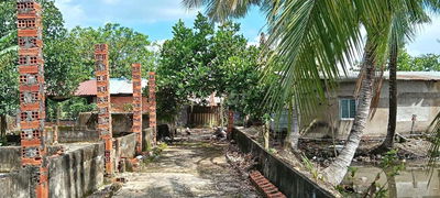 Cho thuê nhà vườn 10000m2 MT kênh xã Bình Lợi HBC