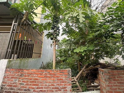 Bán Đất Hoà Lạc, Ô Tô Tránh, 110 m2, Đối Điện ĐHQG, ĐhFPT,MÊTRO.