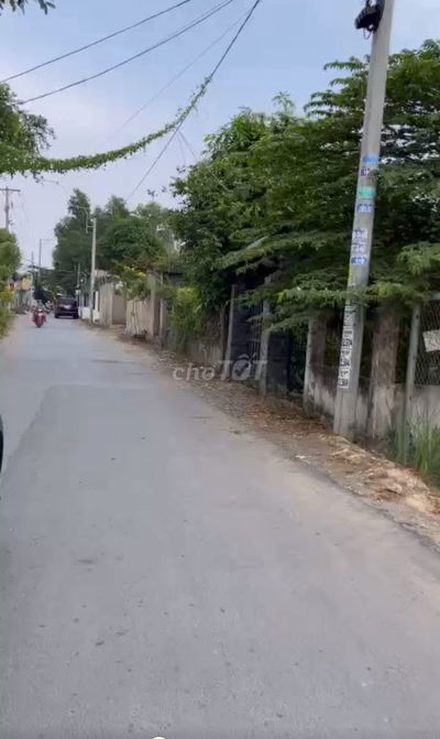 BÁN ĐẤT VƯỜN ĐƯỜNG BÙI VĂN SỰ QUI ĐỨC BÌNH CHÁNH