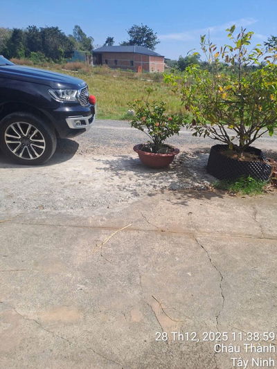 Đất nền sổ sẵn, công chứng ngay. Gần ,Trường học , chợ .v.v.