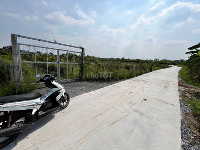 Bán gấp đất vườn bình chánh hồ chí minh