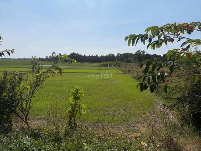 đất Mặt tiền Trung Hưng 600m2 có thổ cư 15x40