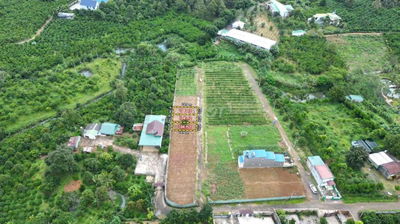 ĐẤT ĐẸP GIÁ RẺ NGAY GẦN CHỢ LỘC AN BẢO LÂM2