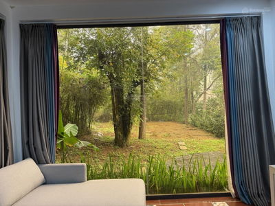 Bán khu đất làm khách sạn mini, nhà nghỉ dưỡng du lịch 9000m2, có sẵn nhà vườn đẹp đầy đủ tiện nghi