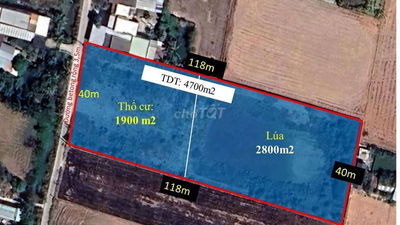 Bán gấp 4700m2 đất thổ lúa đường xe tải tại Cần Giuộc, Long An
