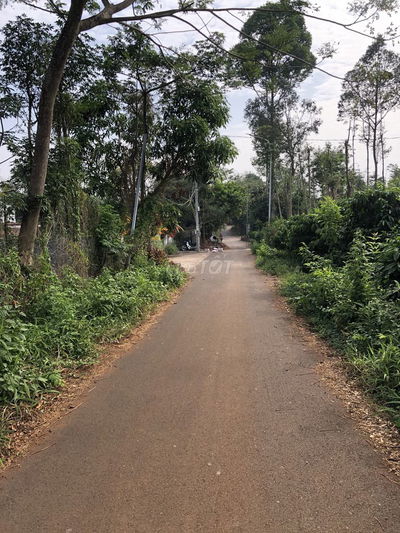 Bán 3000m2 đất ở Thị trấn Kim Long