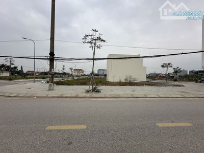 ĐẤU GIÁ BÁI NGOÀI HOA ĐỘNG GIÁ CỰC KÌ SỐC