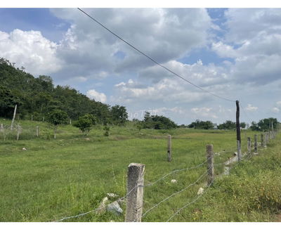 Bán đất 1000m2 tại Lâm đồng