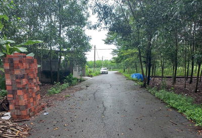 ĐẤT P TAM PHƯỚC