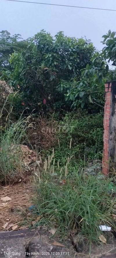 BÁN ĐẤT NỀN TÂN CHÂU, TÂY NINH