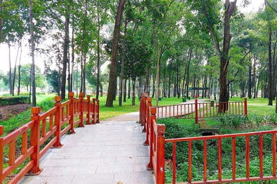 Cho thuê nhà nguyên căn 1tr1l hẻm Nguyễn Kiệm yên tĩnh và an ninh