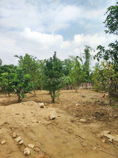 Bán Lô Nhà Vườn Xã Bà Nà Mới TP Đà Nẵng