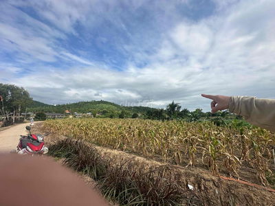 sát QL1A  KCN Dốc Đá Trắng Vịnh Vân Phong 40000m2 đất  RSX