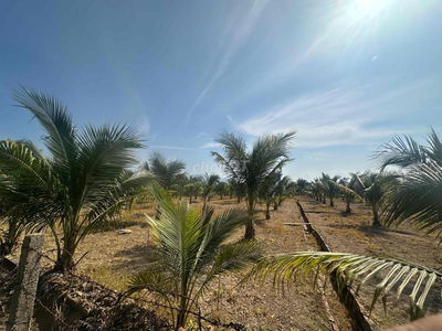 MT QL1A 9600m2 ngang 53.3m qQH Thổ cư Tx Ninh Hoà