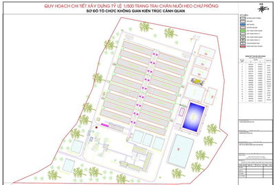 Bán TRANG TRẠI HEO 15.5 Ha, Quy mô 18000 heo thịt, Chư Prông - Gia Lai