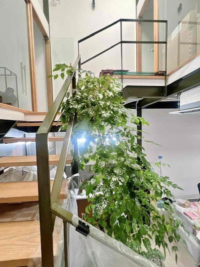 Nhà 2 tầng mặt tiền KD bên cạnh siêu Thị Gigamall.