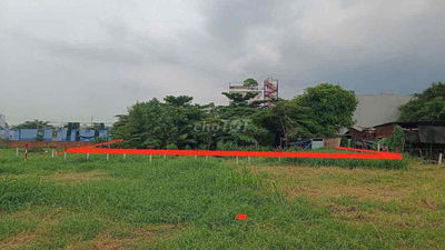 Đất 29x28m Full thổ cư xã Tân Xuân, Hóc Môn, Thành Phố Hồ Chí Minh.