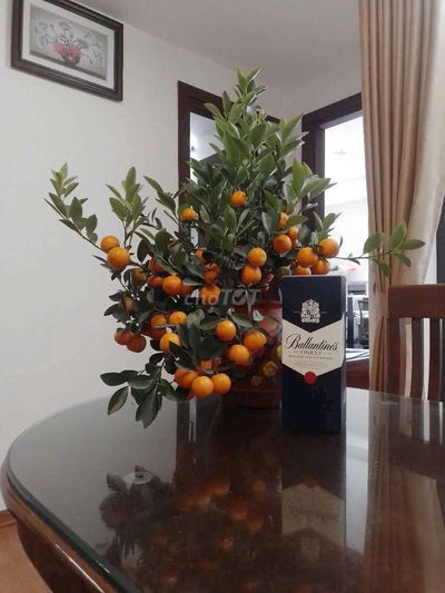 Chính chủ bán CH chung cư thoáng mát, view đẹp