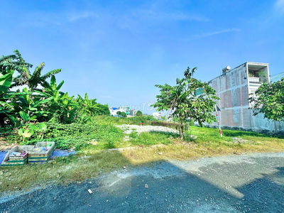 🌟 TÂN XUÂN CÒN LÔ ĐẤT CỰC ĐEP_ DT 4x20m_ MẶT TIỀN NHỰA THÔNG SÁT TÔ KÝ