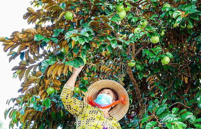 E bán vườn TPHCM mới, Bình Dương cũ 420 triệu