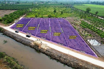 Bán đất vườn  1000mv xã thạnh Hòa