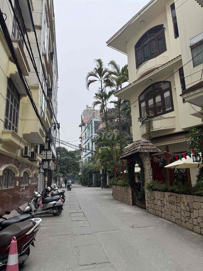 Phân lô - Trung Ương Đảng - Lô góc - 2 mặt ô tô tránh - Phố Vọng