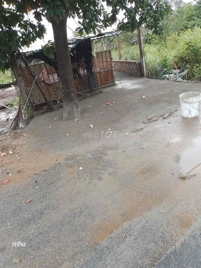 Đất mặt tiền C5/17D  Nguyễn Văn Thời.Bình chánh 540 tr
