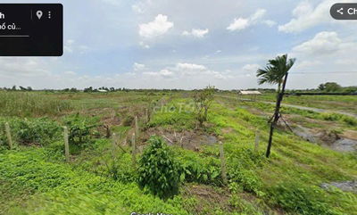 500m2 đất trồng cây xã Bình Mỹ chỉ 1.35 tỷ/lô