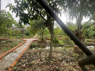 1200m2 nhà vườn kênh cây Xanh xã Bình Mỹ chỉ 3.6 tỷ