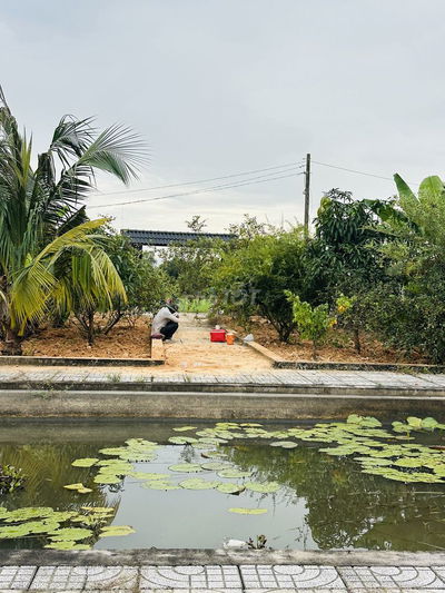 Bán đất vườn sẵn khuôn viên nhà vườn