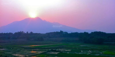 Bán gấp trong tuần, đất gần lối ra đường cao tốc trên cao, 5,8 tỷ, 591.9 m2 full đất ở