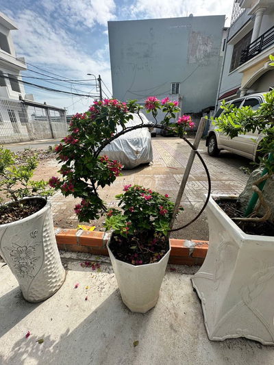 BÁN NHANH LÔ ĐẤT HẺM XE HƠI - ĐƯỜNG 339 - P. PHƯỚC LONG B - 55.6M2