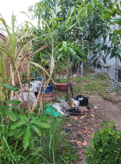 Chính chủ cần bán
