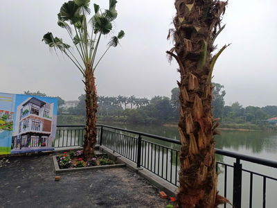 Bán 100m2 Đất Nền Trại Hồ giá 3,x tỷ