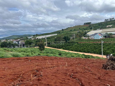 🏡 BÁN LÔ ĐẤT VIEW ĐỒI THÔNG SIÊU THOÁNG CÁCH TRUNG TÂM ĐÀ LẠT CHỈ 20km