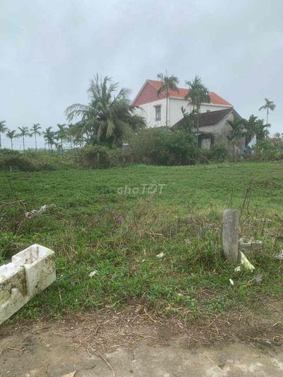 HÓT ! THANH ĐÔNG CÂM THANH TP HÔI AN ĐẤT 171m NGAN 7M   GIÁ CHI 2t85