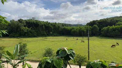 Lô đất đẹp 380m2 Châu Chữ, Thuỷ Bằng, Huế view đồi nùi, đồng ruộng trữ tình, thơ mộng