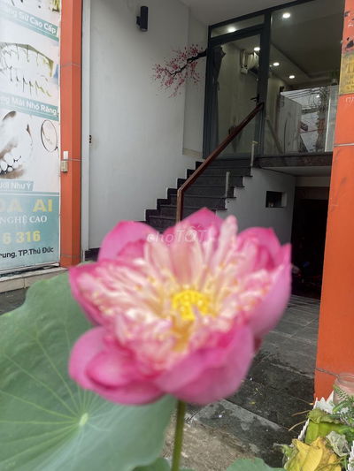 CHÍNH CHỦ CHO THUÊ MẶT BẰNG CAO CẤP TẠI TRUNG TÂM THỦ ĐỨC