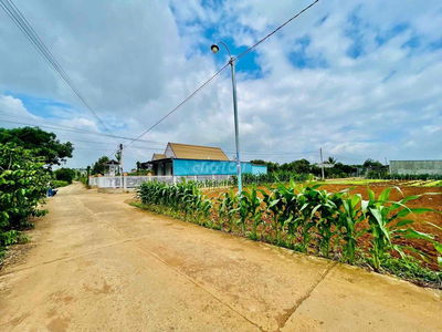đất Trung tâm Tân Hội - Lâm Đồng