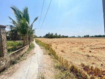 CHÍNH CHỦ bán nền đất lúa 500m2, Tân Lân, Cần Đước