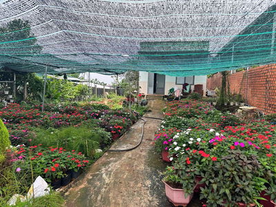 Đất thổ cư mặt tiền, khu dân cư Bồng Lai, Đức Trọng, Lâm Đồng
