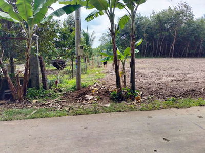 Đất chính chủ, 100m2 Thổ cư, nằm trong khu dân cư 1/500