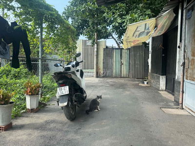 Đất P15, Gò Vấp, DT: 4,5 X 15, sổ