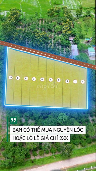 ĐẤT LỐC ĐƯỜNG QH32m vip bán sỉ lẻ
