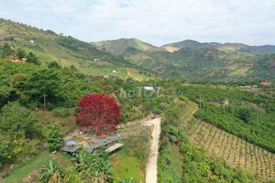 Bán nhanh lô đất ngộp ngân hàng