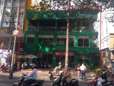 MT Lý Thường Kiệt Quận Tân Bình