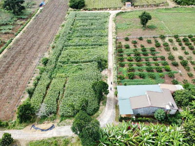 ĐẤT KHÁNH XUÂN KHỐI 15
