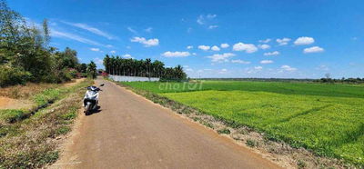 CHỈ 6xx cho lô đất 300m2 View cánh đồng tuyệt đẹp